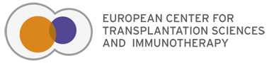 création de logo