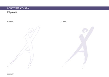 création logo et charte graphique pour Aymara cabinet d'études