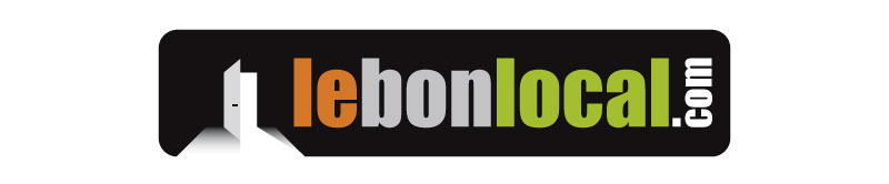 création logo et charte graphique pour site d'annonces immobilière